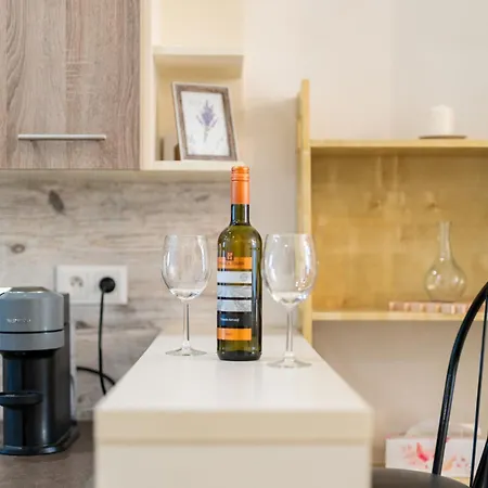 Charming Flat, Steps From Castle - Free Parking Pressburg